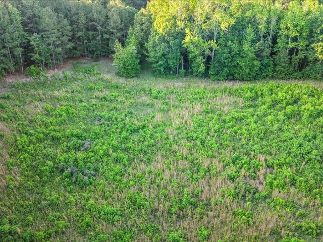 Land for sale in Princeton, North Carolina