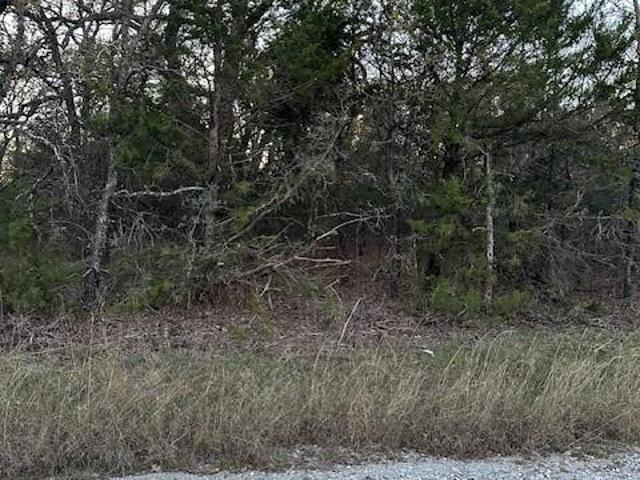Land for sale in Bowie, Texas