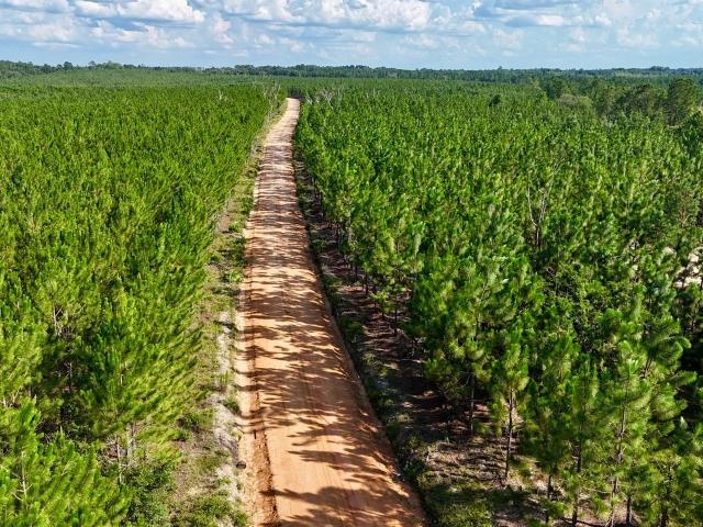 Land for sale in Baxley, Georgia