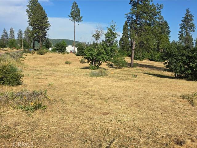 Land for sale in Paradise