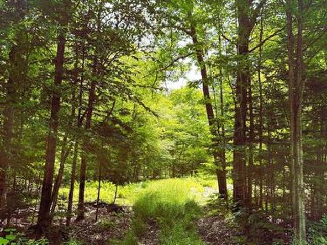 Land for sale in Renfrew, Ontario