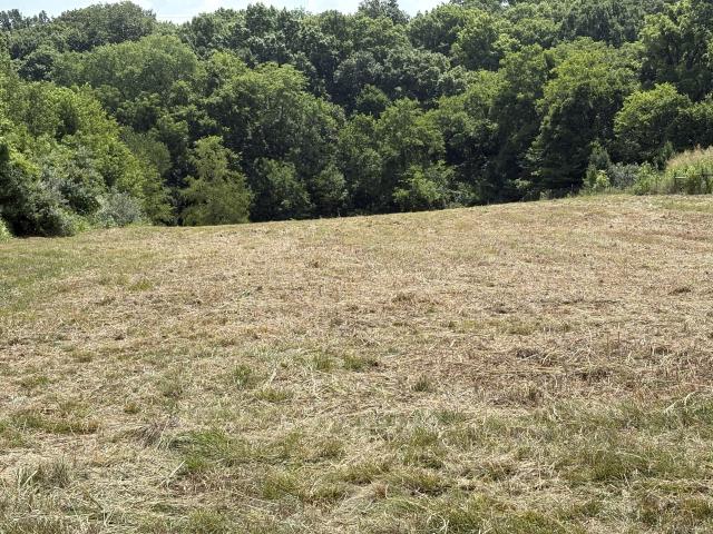 Land for sale in Simpson, Kentucky