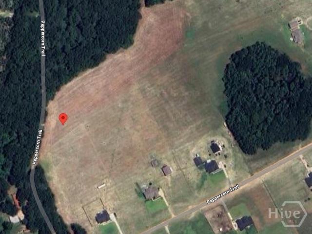 Land for sale in Pembroke, Georgia