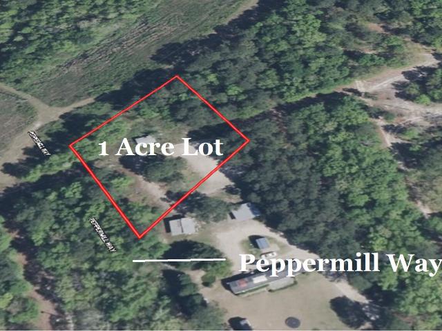 Land for sale in South Carolina