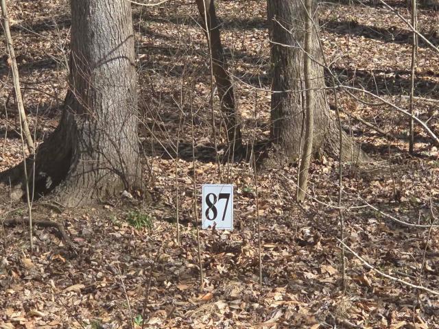 Land for sale in Cadiz, Kentucky