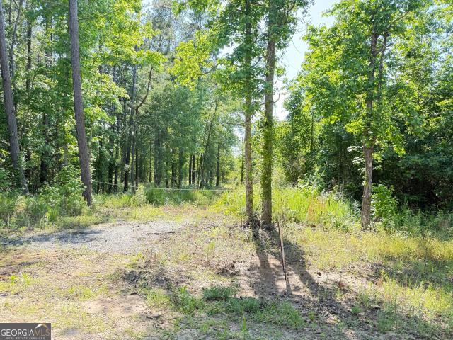 Land for sale in Barnesville, Georgia