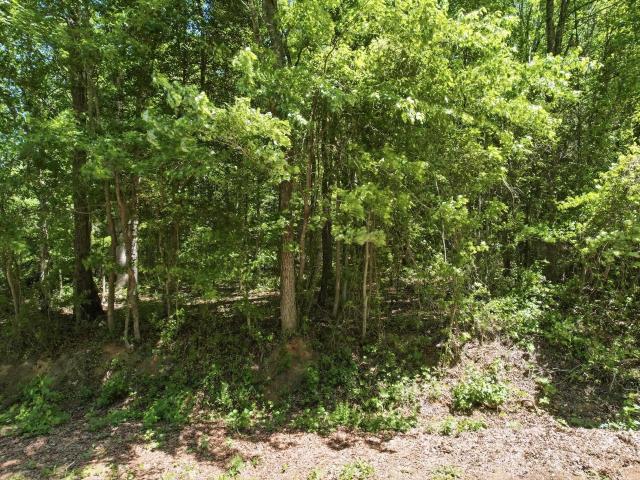 Land for sale in Greer, South Carolina