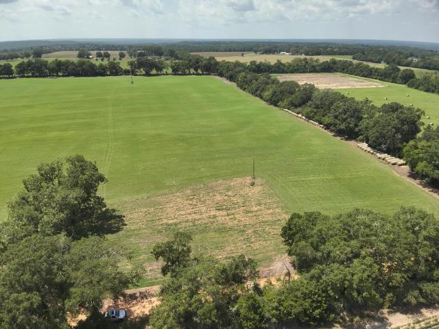 Land for sale in Geneva, Alabama