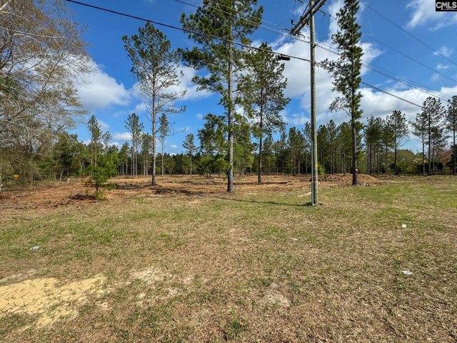 Land for sale in Batesburg, South Carolina