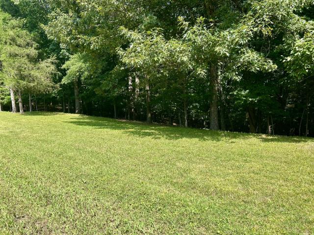 Land for sale in Tennessee