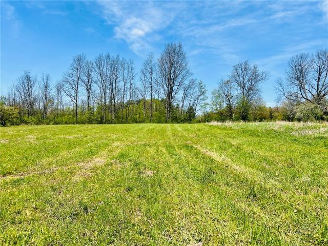 Land for sale in Dryden, New York