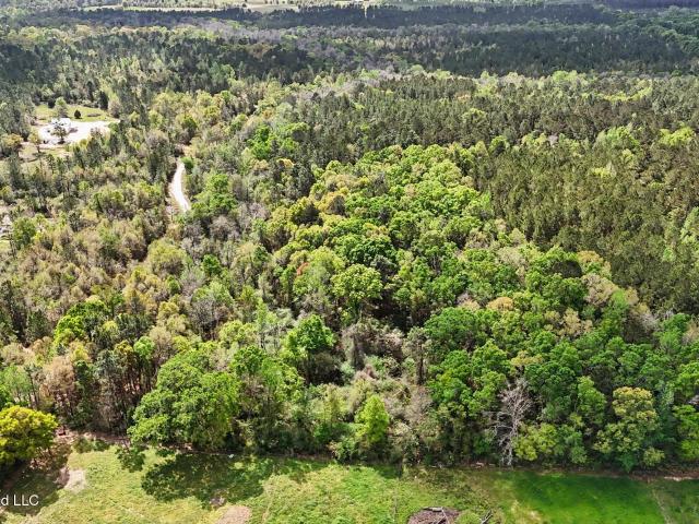 Land for sale in Lucedale, Mississippi