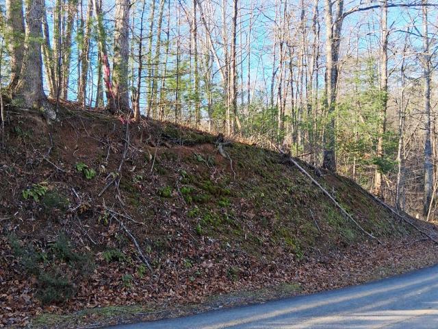 Land for sale in Virginia