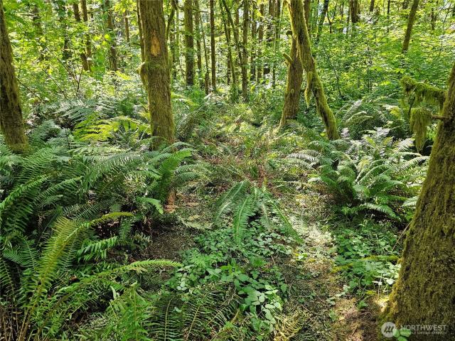 Land for sale in Thurston, Washington