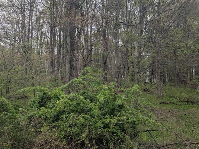 Land for sale in Clearfield, Pennsylvania