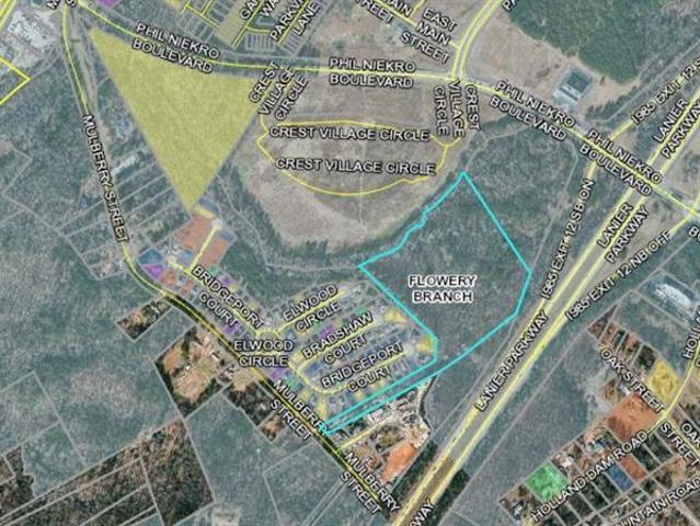 Commercial for sale in Flowery Branch, Hall County