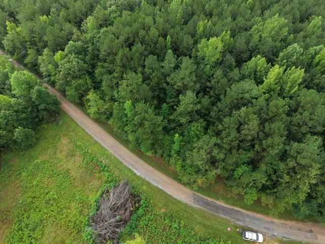 Land for sale in Guin, Alabama