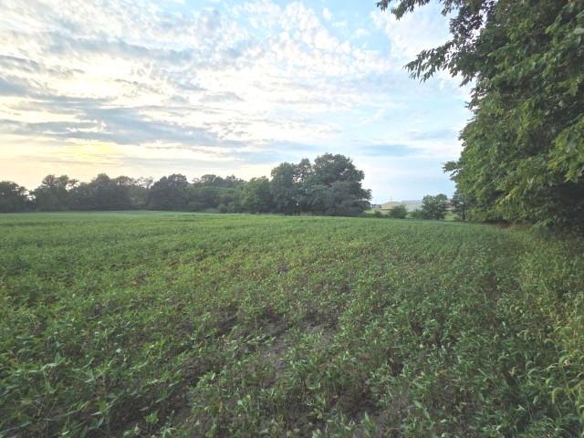 Farm for sale in Waltonville, Jefferson County