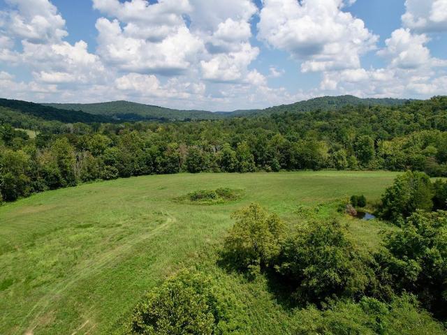 Land for sale in Monticello, Kentucky