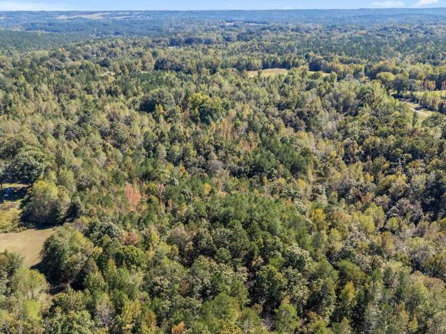 Land for sale in Alabama