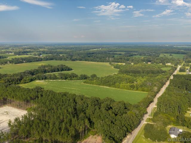 Land for sale in Cottonwood, Alabama