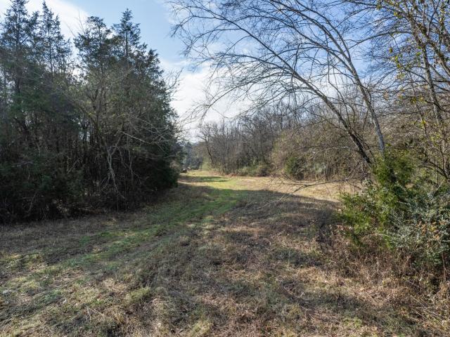 Land for sale in Tennessee