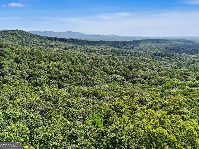 Land for sale in Clarkesville, Georgia