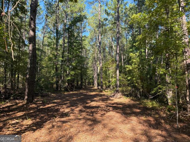 Land for sale in Bartow, Georgia