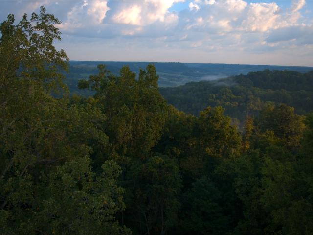 Land for sale in Tennessee