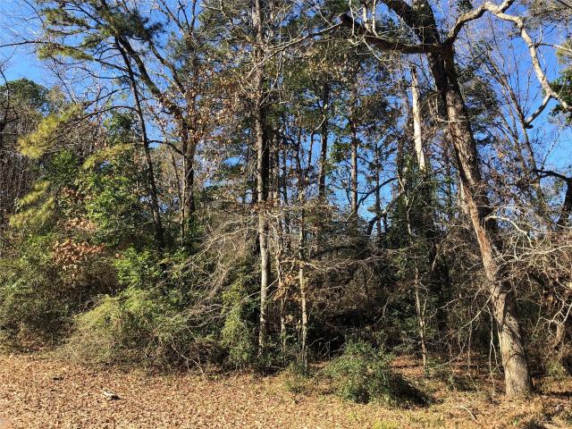 Land for sale in Sabine, Texas