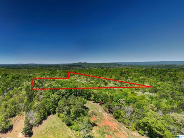 Land for sale in Ashville, Alabama