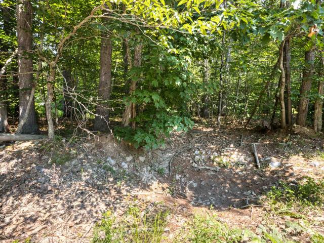 Land for sale in Tamworth, Carroll County