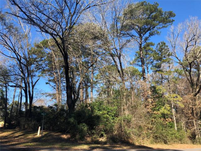 Land for sale in Hemphill
