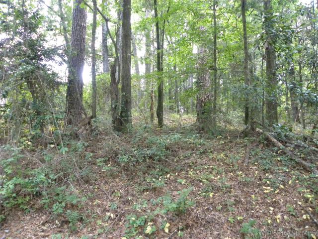 Land for sale in Dale, Alabama