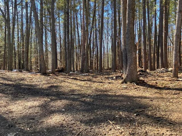 Land for sale in Greenville, New York
