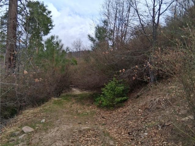 Land for sale in Cedar Glen