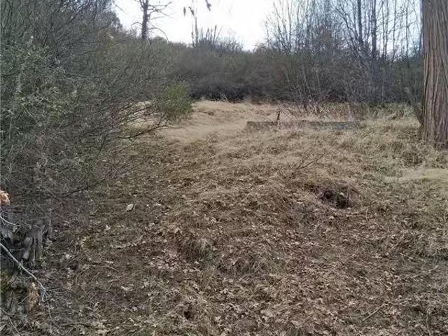 House for rent in Cedar Glen, California