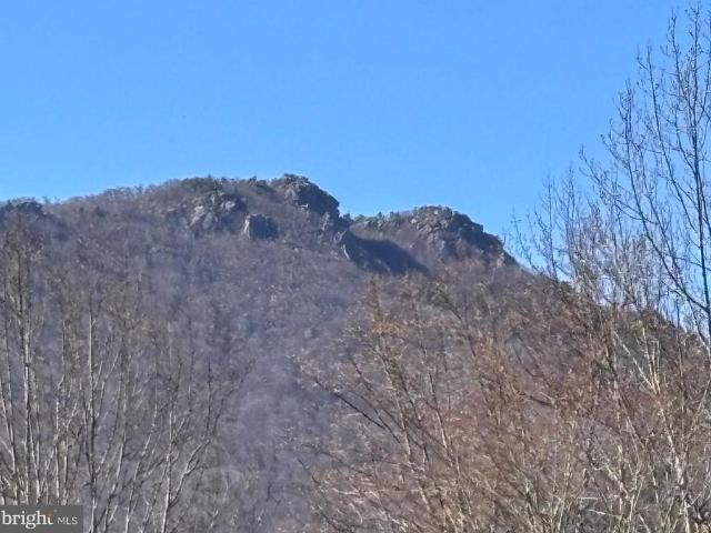 Land for sale in Virginia