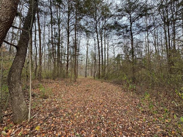 Land for sale in Virginia