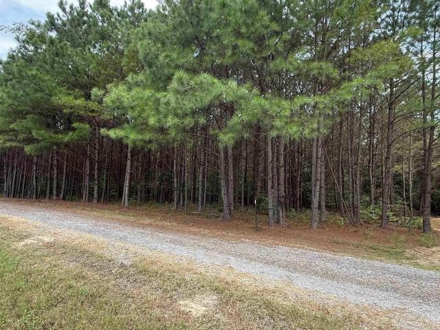 House for sale in Jasper, Walker County