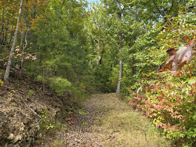 Land for sale in Pigeon Forge, East Tennessee