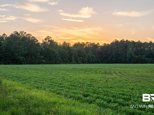 Land for sale in Stapleton, Alabama