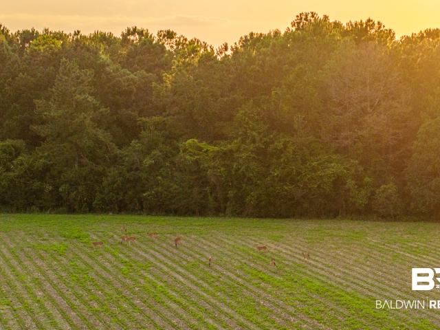 Land for sale in Spanish Fort, Alabama