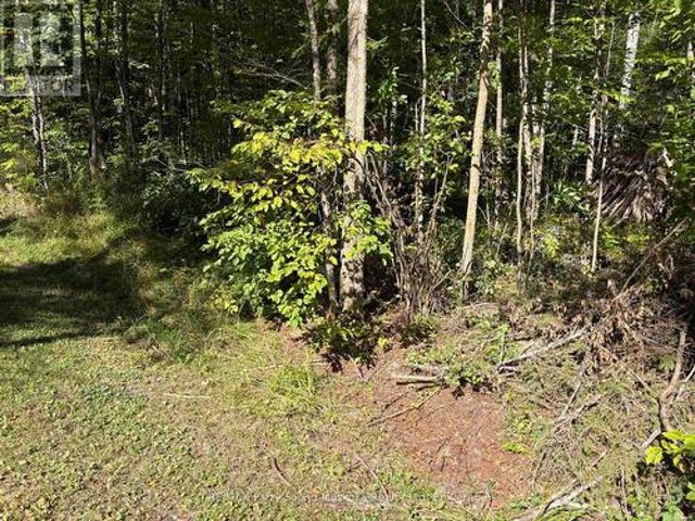 Land for sale in Magnetawan, Ontario