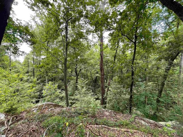 Land for sale in Landrum, South Carolina