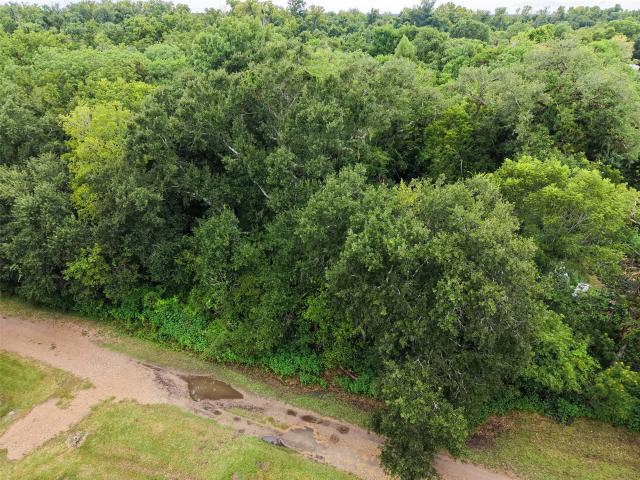 Land for sale in Arcola, Texas