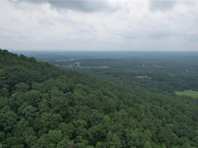 Land for sale in Stokes, North Carolina