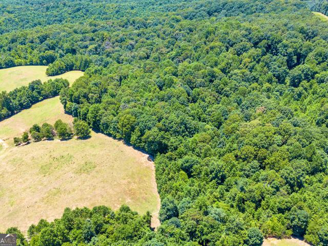 Land for sale in Lula, Georgia