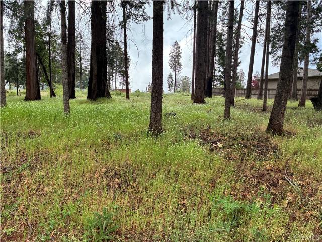 Land for sale in Butte, California