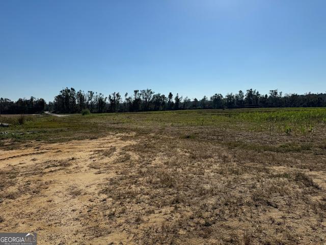 Land for sale in Wadley, Georgia